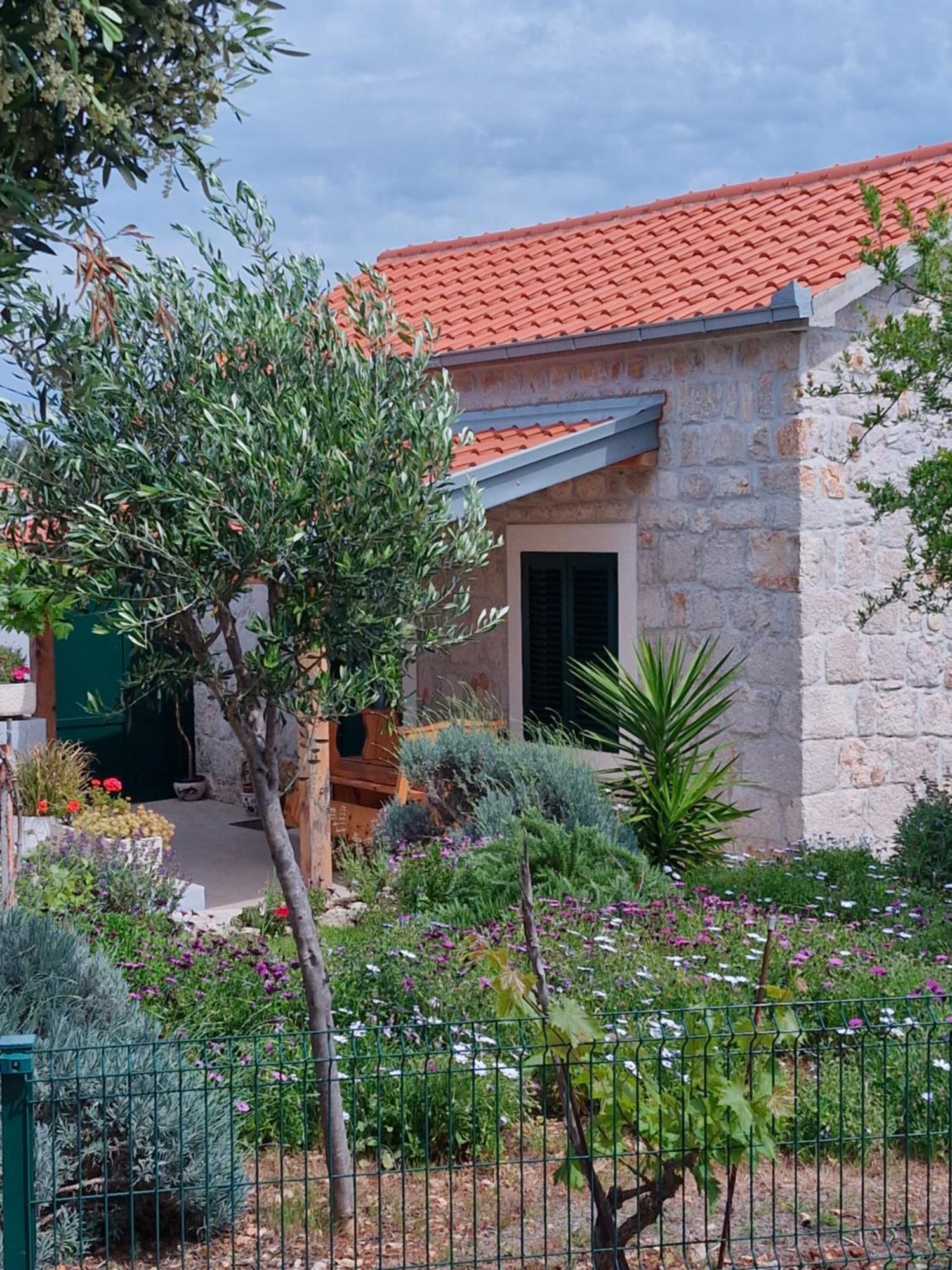 Kuca Za Odmor Maruska Villa Mali Drvenik Exteriör bild